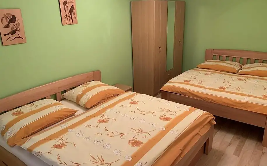 Lipno nad Vltavou, Jihočeský kraj: Harmonie Apartment