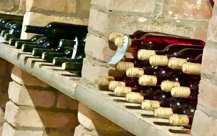 Vodní nádrž Nové Mlýny: Vinný sklep Monty Přítluky