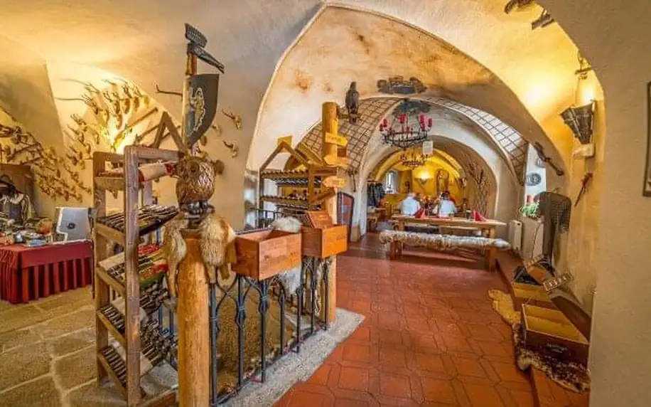 Cheb: Královský pobyt v Penzionu Vildštejn II. se snídaní či polopenzí, prohlídkou hradu a muzeí + drink