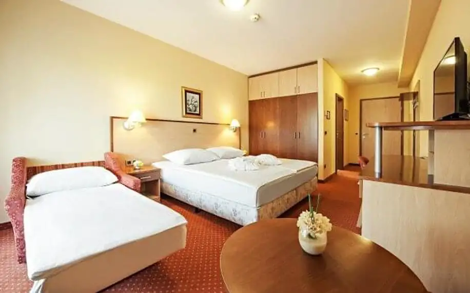 Slovinsko – Hotel Zeleni Gaj *** s polopenzí a neomezeným vstupem do termálů a saun + dítě do 12 let zdarma