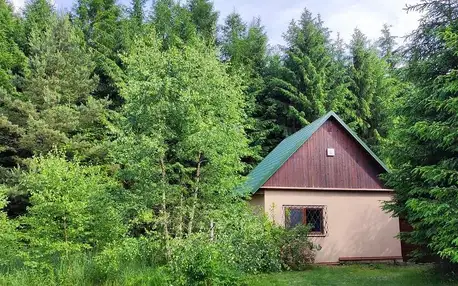 Kraj Vysočina: Na samotě u lesa