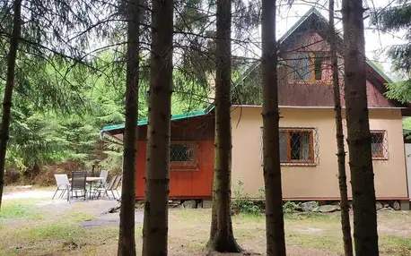 Kraj Vysočina: Na samotě u lesa