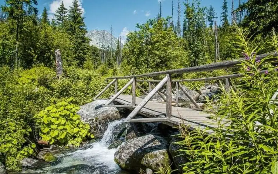 Nízké Tatry v Alexandra Wellness Hotelu *** s neomezeným wellness (bazén, sauny, vířivka) a polopenzí