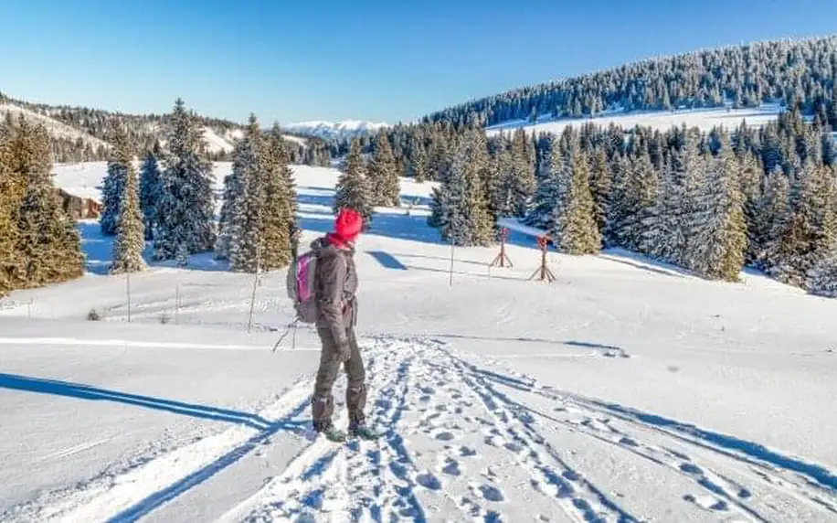 Nízké Tatry v Alexandra Wellness Hotelu *** s neomezeným wellness (bazén, sauny, vířivka) a polopenzí