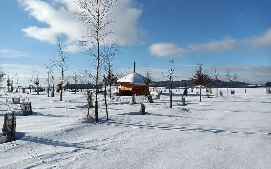 Dolní Morava: Treehouses Sněžník