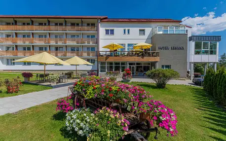 Hotel Lesana*** v Tatrách s novým wellness a polopenzí
