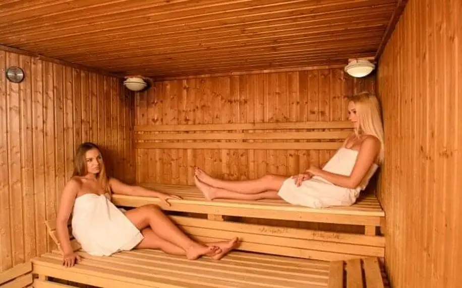 Slovensko: Donovaly ve Šport Hotelu *** s polopenzí, neomezeným wellness s bazény a 4 saunami + fitness