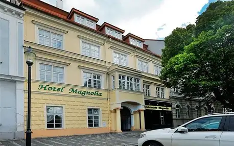 Roudnice nad Labem - hotel Magnólia, Česko