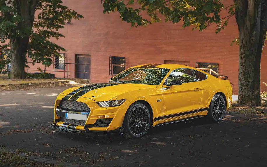 20–50 minut v supervýkonném Mustangu Shelby paket GT 5.0 V8