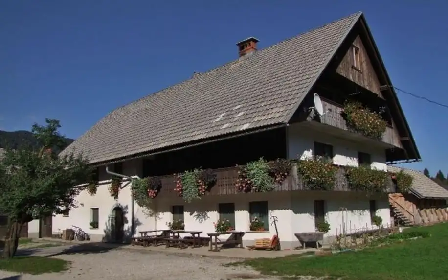 Slovinsko - Bohinj: Farmhouse Soklic