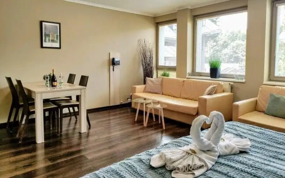 Harrachov komfortně v Apartmánech Relax 569 se snídaní až na pokoj + každý den vstup do saunového světa