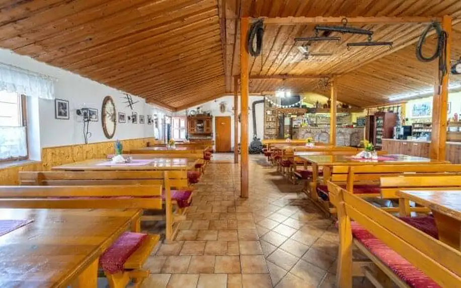 Jižní Morava: Lednice v Penzionu Hippoclub s romantickou projížďkou kočárem, polopenzí a džbánem vína k večeři