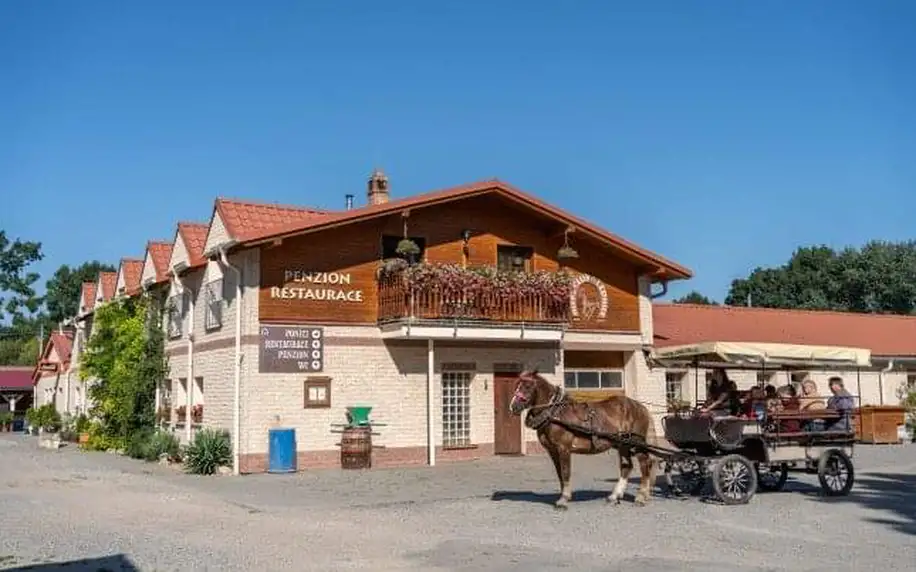 Jižní Morava: Lednice v Penzionu Hippoclub s romantickou projížďkou kočárem, polopenzí a džbánem vína k večeři