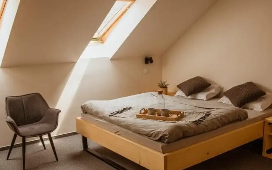 Trenčianske Teplice: Treehouse Apartments ve studiu či apartmánu + vstup do nového wellness Wellmed se saunami