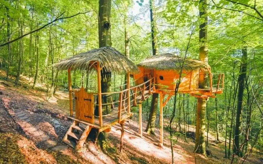 Trenčianske Teplice: Jedinečný pobyt uprostřed přírody v domku na stromě Treehouse až pro 4 osoby + snídaně