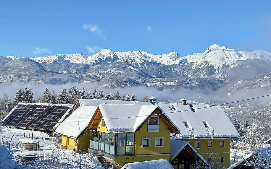 Slovinsko - Bohinj: Apartments Tubej