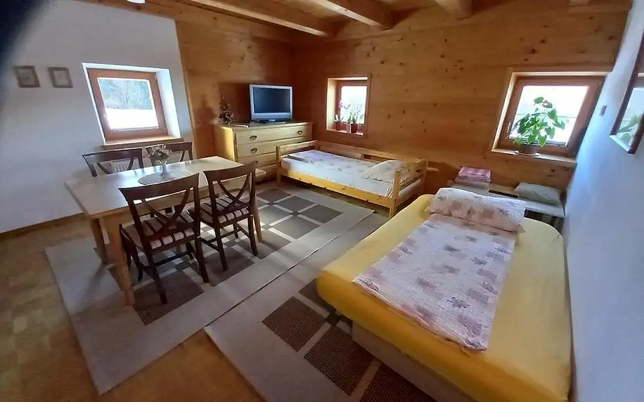 Slovinsko - Bohinj: Apartments Tubej