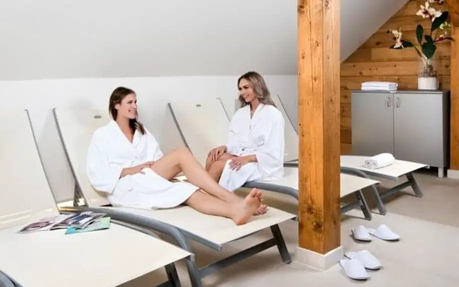 Orlické hory: Hotel Tvrz Orlice **** s privátním wellness centrem (vířivka, sauna), slevami a polopenzí