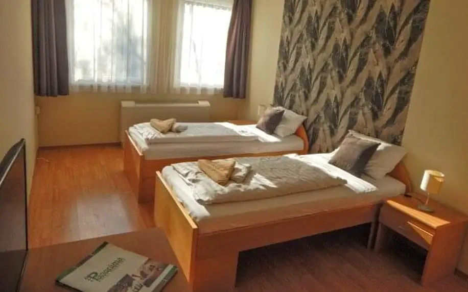 Maďarsko u termálů: Panoráma Hotel Noszvaj *** s wellness s panoramatickou vířivkou i saunami + polopenze
