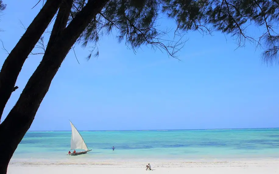Tanzanie - Zanzibar letecky na 9 dnů, all inclusive