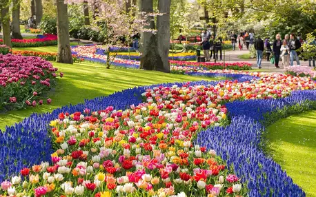 Holandsko na jaře: na otočku do parku Keukenhof