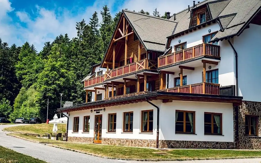 Slovinsko: Pohorje Village Wellbeing Resort - Wellness & Spa Hotel Bolfenk