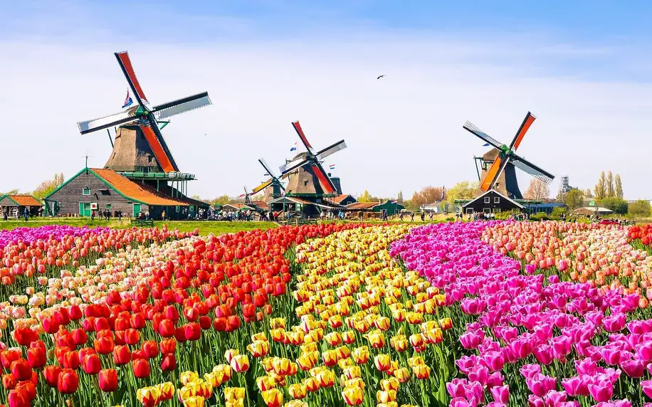 Návštěva květinového parku Keukenhof i Amsterdamu