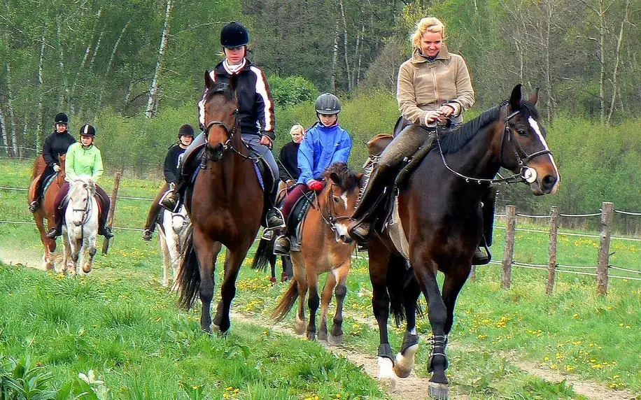 Zážitkový program u koní: příprava koně i jízda