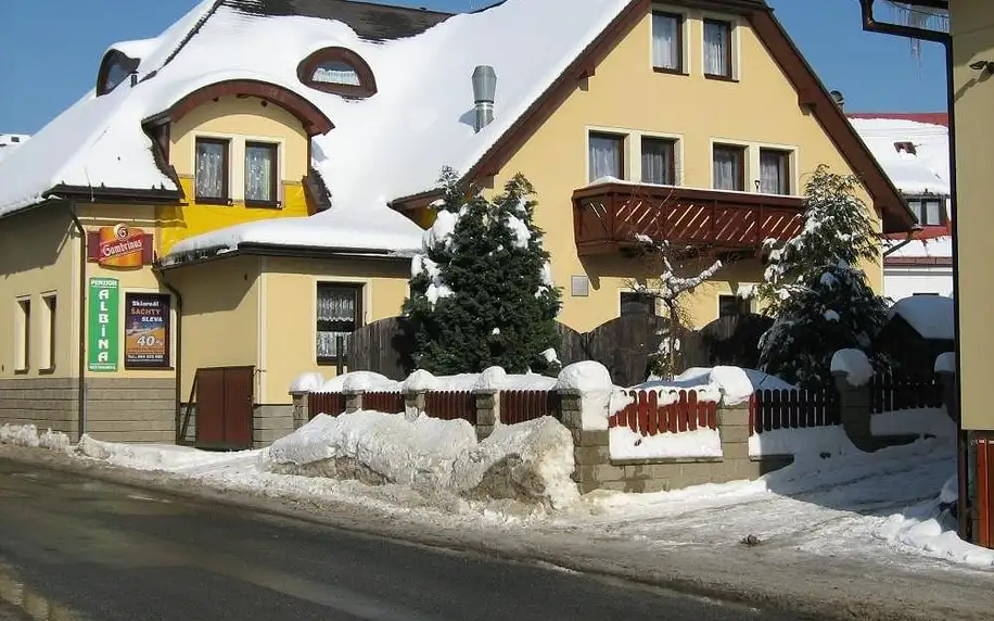 Vysoké nad Jizerou, Liberecký kraj Penzion Albína - Restaurace