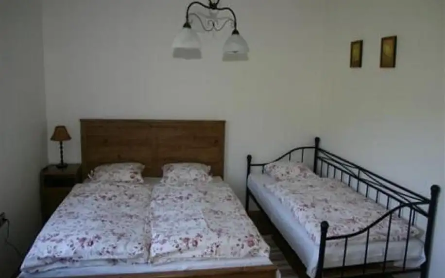 Královehradecký kraj: Holiday home in Pec pod Snezkou 2156