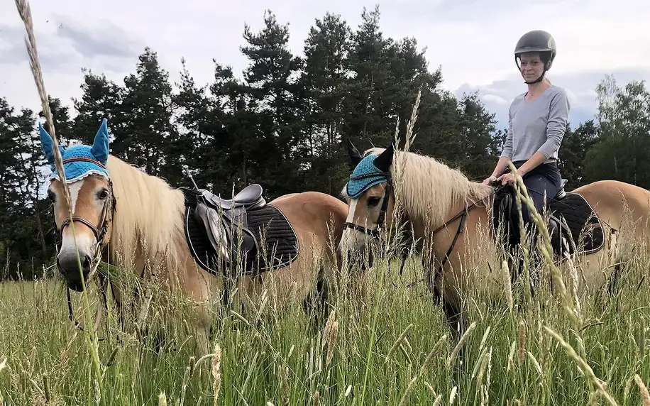 Vyjížďka nebo kurz komunikace s koňmi pro dospělé i děti