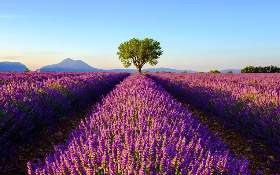 Zájezd do Provence: 2 noci, snídaně i průvodce