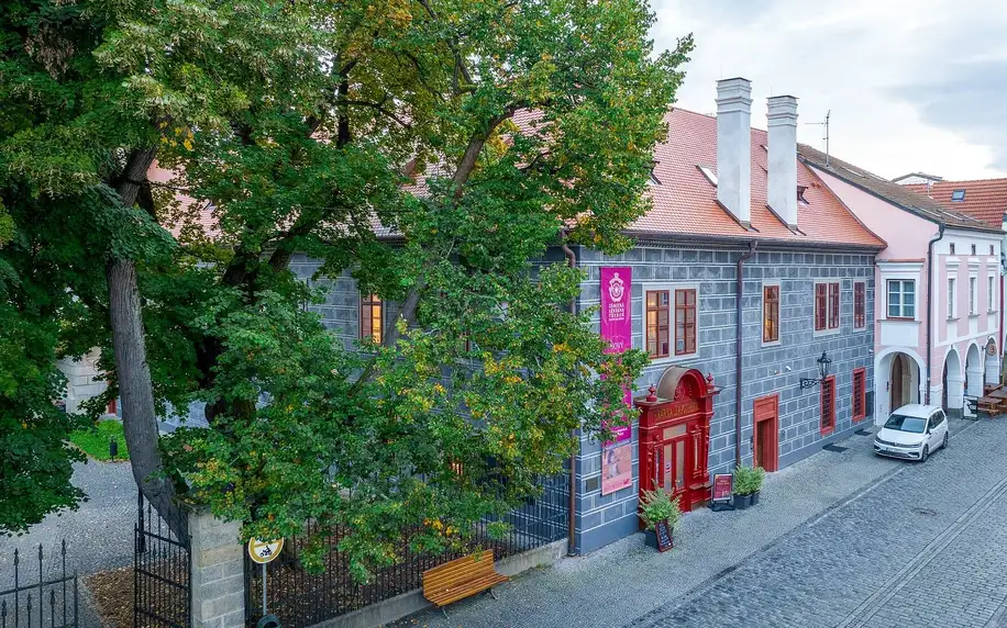 Prohlídky renesanční Zámecké lékárny v Třeboni