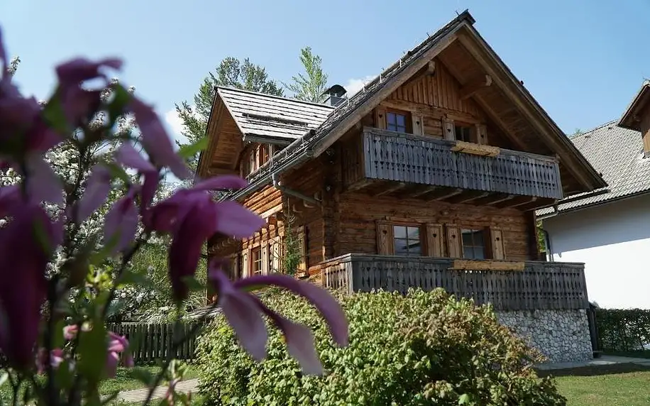 Slovinsko - Bohinj: Apartments Brina