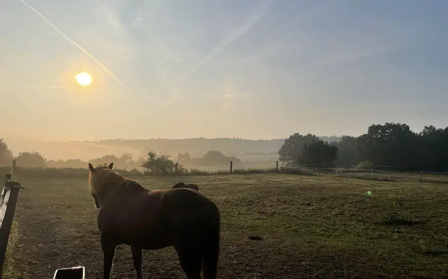 Penzion nedaleko Karlštejna se snídaní a koňmi