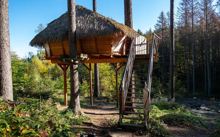 Tree house v lesích u Brna: domek až pro 4 osoby