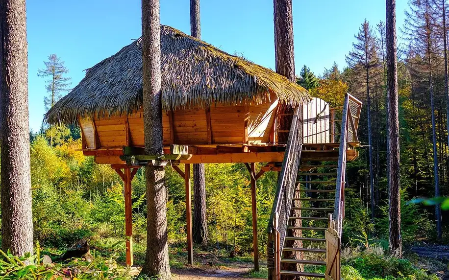 Tree house v lesích u Brna: domek až pro 4 osoby