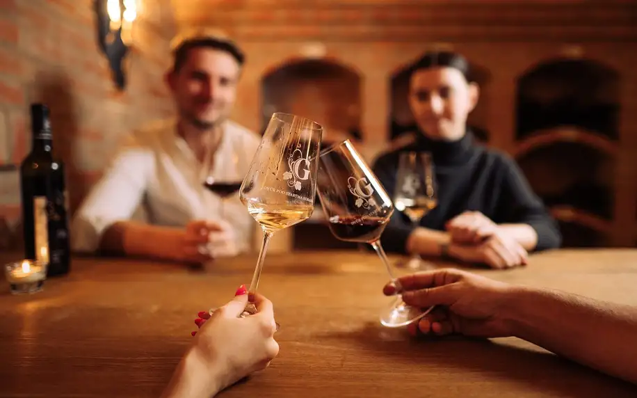 Vinařský pobyt na Slovácku včetně jídla a wellness