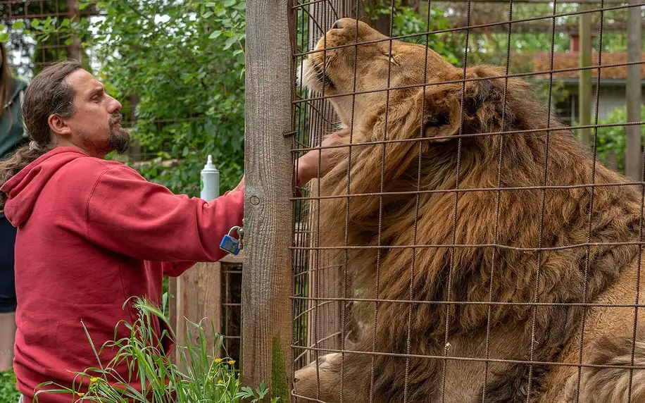 Na 1 den ošetřovatelem v Kontaktním Zooparku