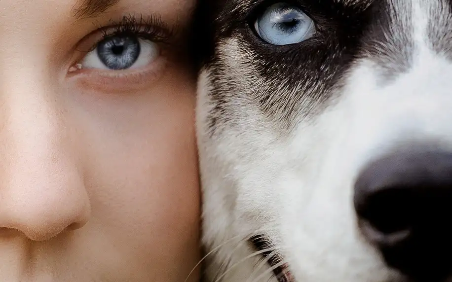 Focení psů: portréty i s páníčkem, 5 fotografií
