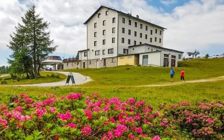 Rakouské Alpy: Léto v Hotelu Berghof Tauplitzalm *** s polopenzí, saunami, výletním vláčkem a vyžitím