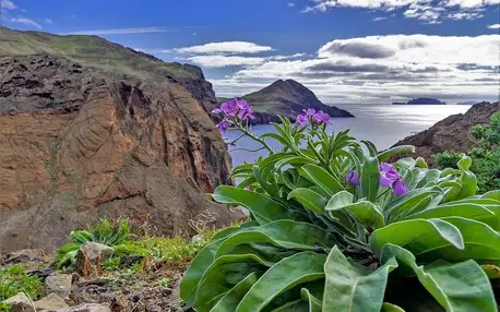 Madeira: Poznávání a turistika ostrovem věčného jara, Madeira