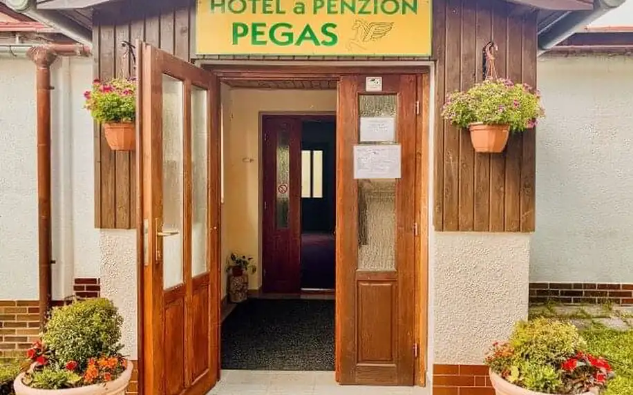 CHKO Žďárské vrchy: Hotel a Penzion Pegas *** s polopenzí a saunou + sportovní vyžití, venkovní gril a hřiště