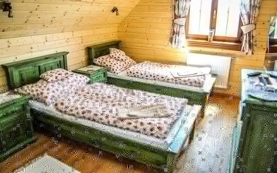 Pobyt u CHKO Strážovské vrchy v apartmánu Salaše Kľak s polopenzí, wellness (vířivka, sauny) + 3 dětská hřiště