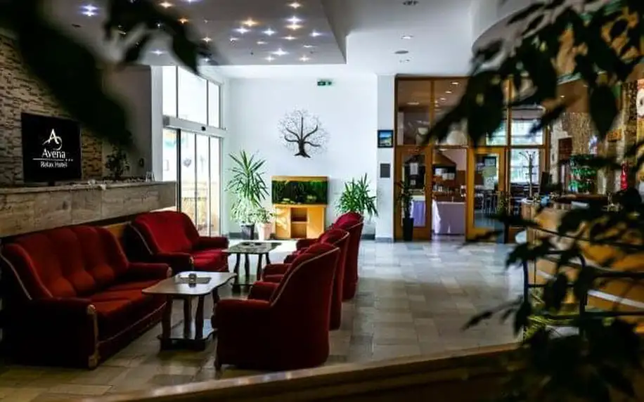 Odpočinek v Nízkých Tatrách v Relax Hotelu Avena *** s polopenzí a bazénem + až 3 relaxační procedury a slevy