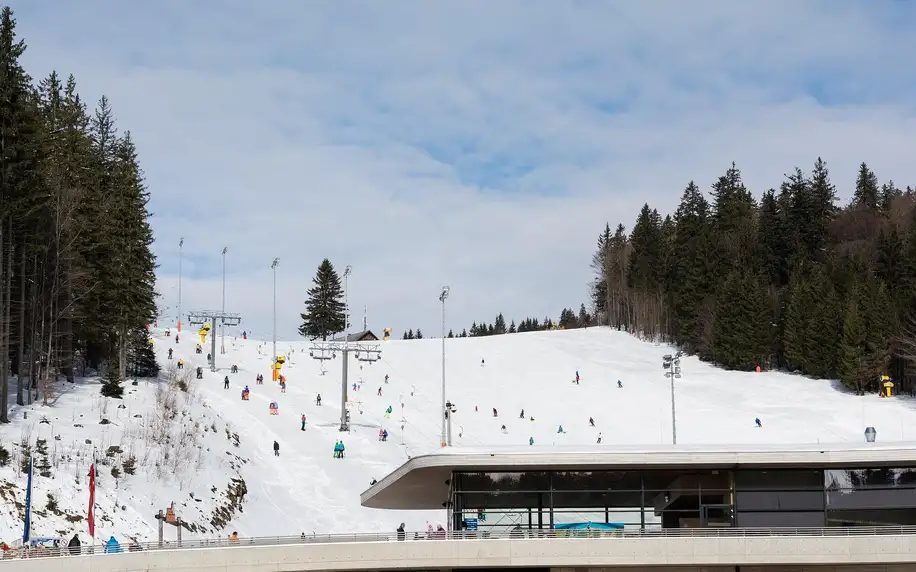 Zimní dovolená na Lipně: polopenze a zimní sporty