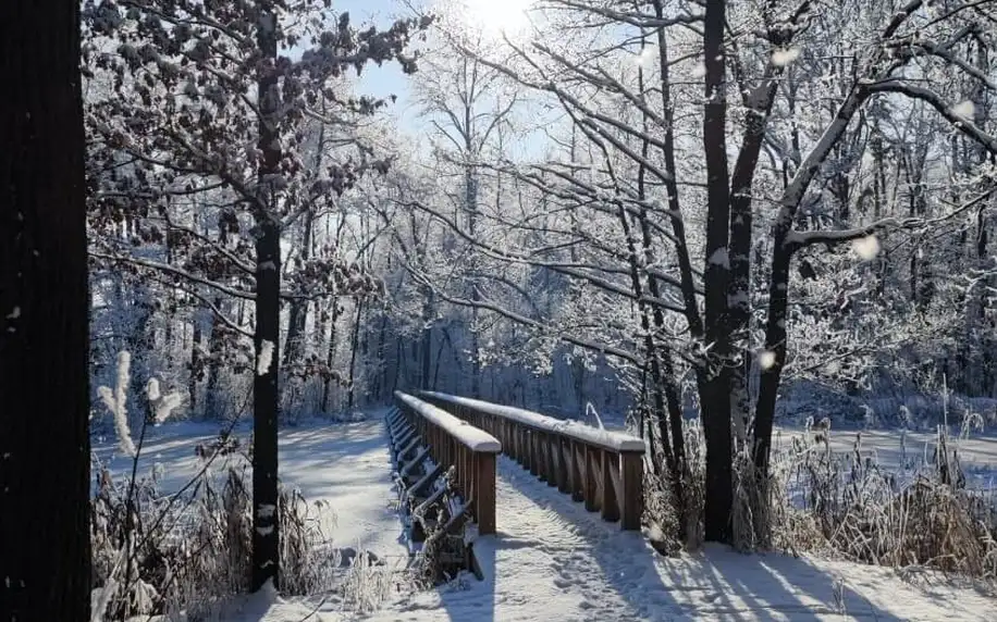 Zimní dovolená na Lipně: polopenze a zimní sporty