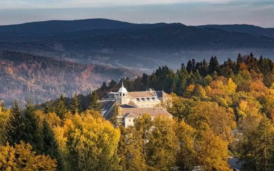 Jeseník – Krásné Priessnitzovy lázně: Wellness pobyt v Lázeňském domě Bezruč *** s polopenzí a 3 procedurami