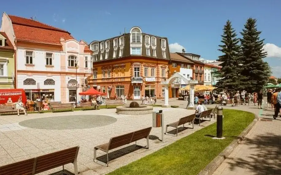 Vysoké Tatry: Poprad ve Vile Mery *** s polopenzí, wellness (3 sauny) a dětským hřištěm + slevy na atrakce