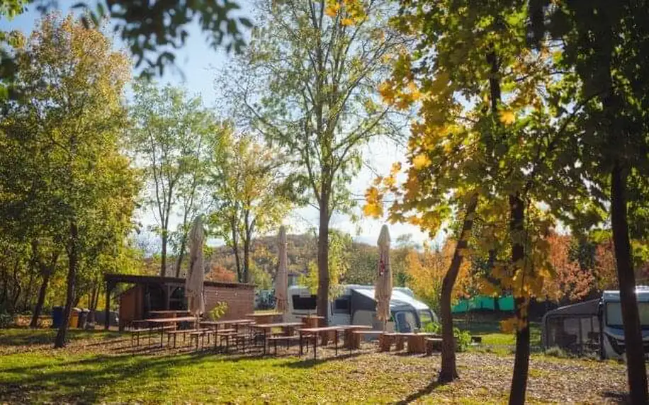 Slovenský Tokaj v luxusním domku na stromě v Camping Malá Bara s wellness, degustací a snídaní + 2 lahve vína